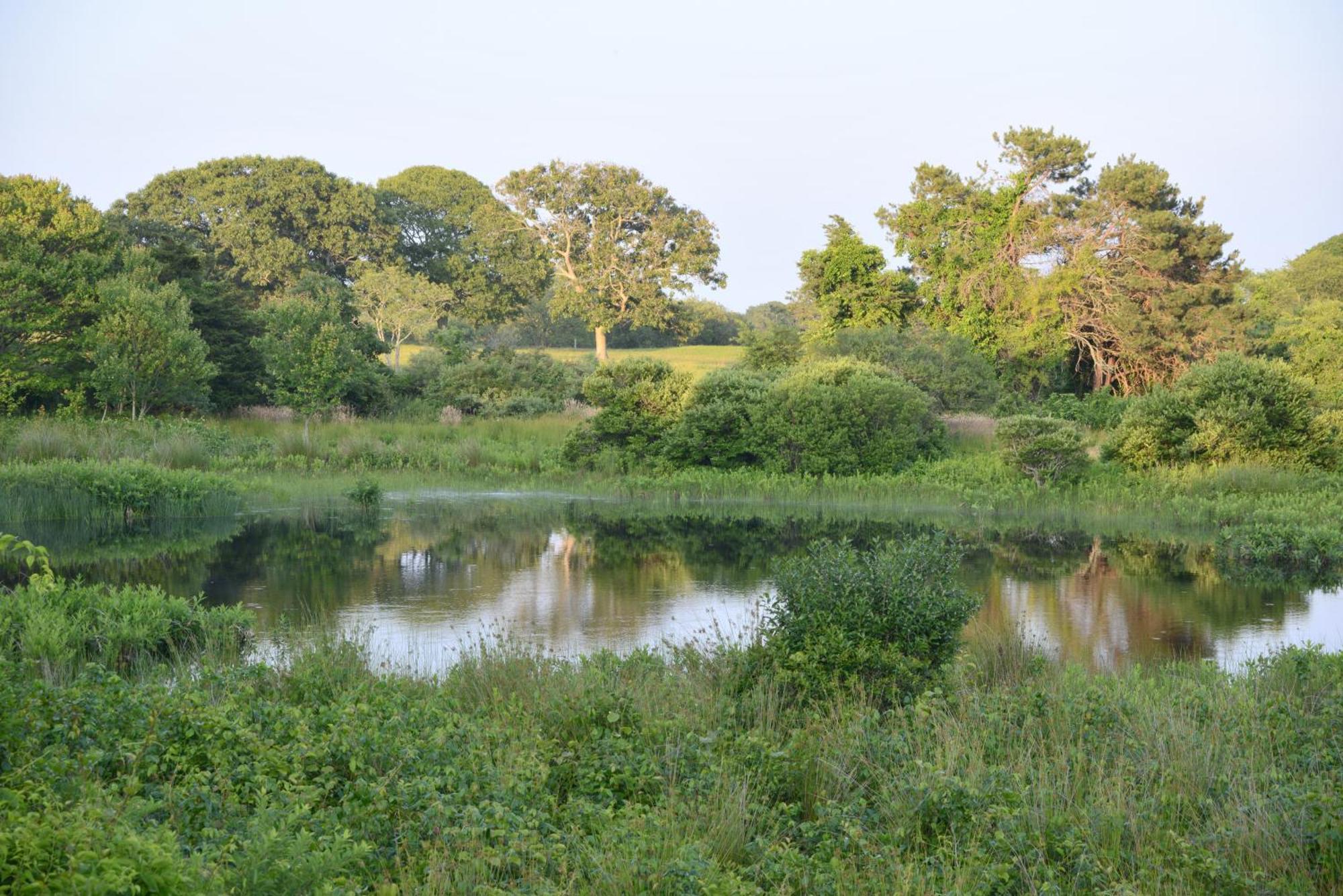 Hi Martha's Vineyard *